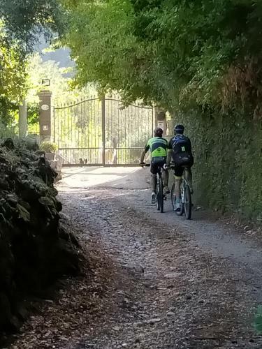 B&B Il Giardino Di Eolo