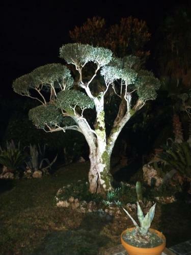 B&B Il Giardino Di Eolo
