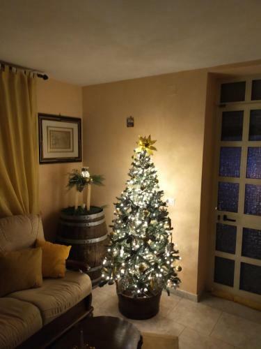B&B Il Giardino Di Eolo