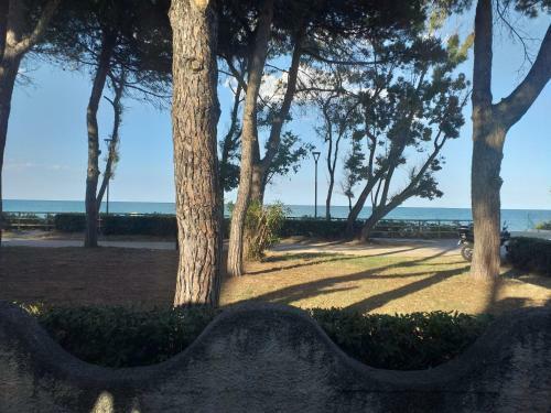 Hostal Room In Bb - Spacious Double Room Beside The Sea