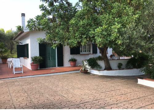 Apartamento Villa Il Carrubo - Basilicata