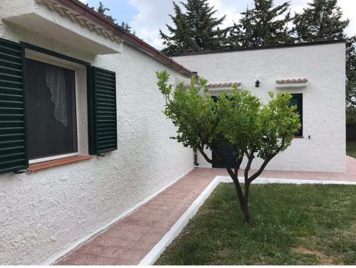 Apartamento Villa Il Carrubo - Basilicata