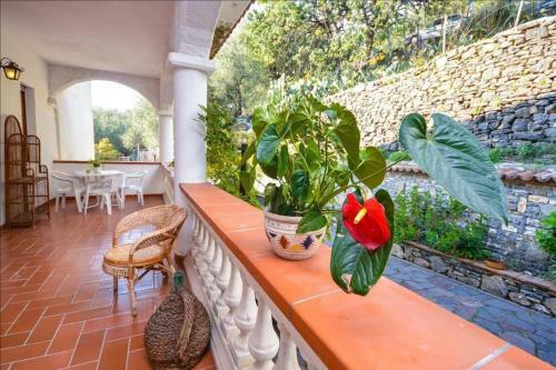 Apartamento La Villa Del Pixus