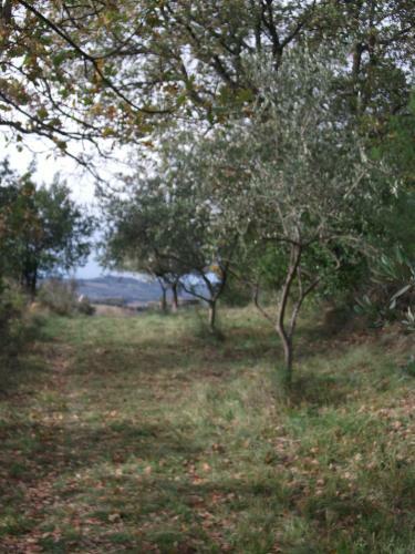 Agroturismo Poggio Del Conero