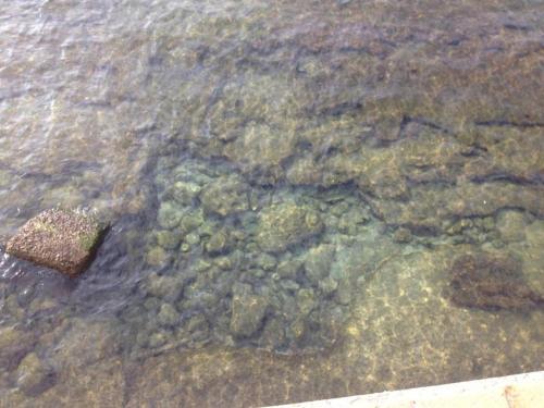 Lux Apartment ! Swimmingpool ! Parking ! Separate Entrance ! Separate Territory !