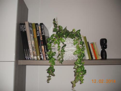 Apartment Via Delle Torri