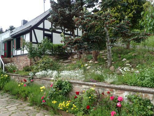 Vakantiehuis Hunsr�ck