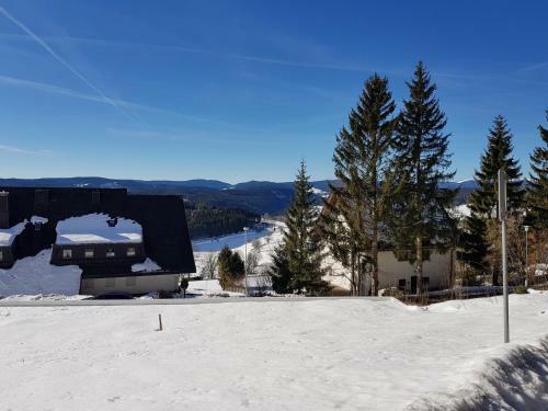 Apartamento Ferienwohnung Saig