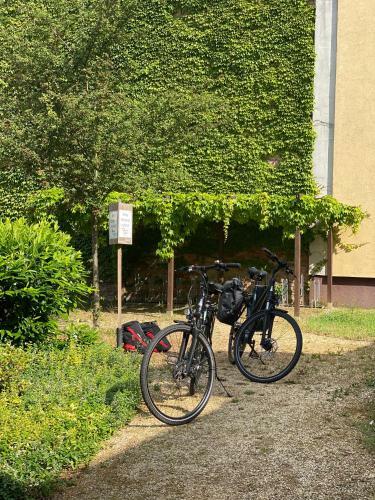 Hostal Liebenwalder Herberge, Touristinformation Und Hofcaf�