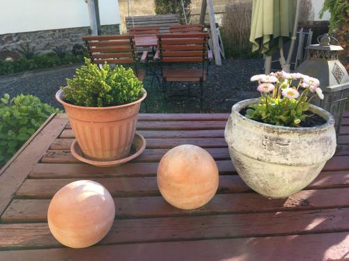 Apartamento Ferienwohnung Zur Scheune