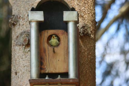 Apartment Am Nationalpark Bayerwald