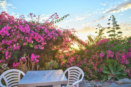 Apartamento Finca La Tosca