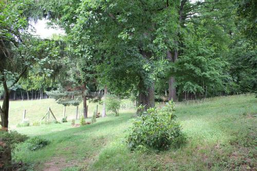 Apartamento Ferienwohnung Waldh�he
