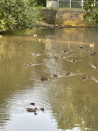 Apartamento Am Teich