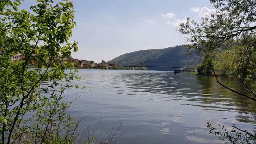 Apartamento Wohnen Im Springerhof