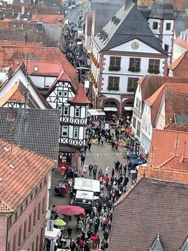 Apartamento Wohnen Im Springerhof