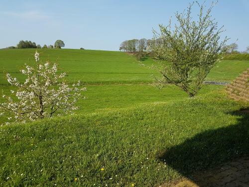 Apartamento Ferienwohnung Familie Weber