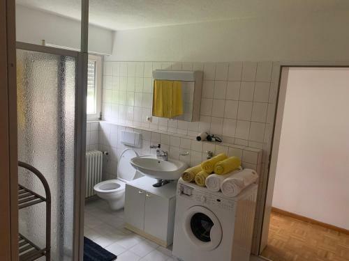 Apartamento Ferienwohnung Lottstetten