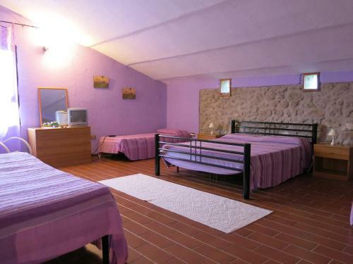 Apartamento Agriturismo Il Palagetto