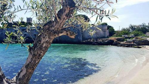 Villa Trulli Storie Di Puglia - Private Pool