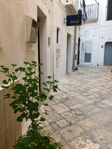 Itaca Home To Explorers In Polignano A Mare