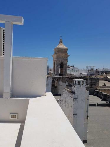 B&B Fico D'india