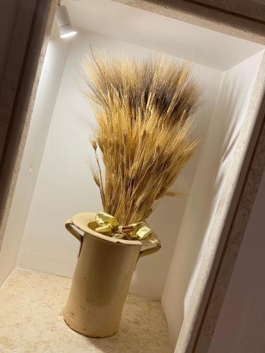Hostal Don Gil Chic