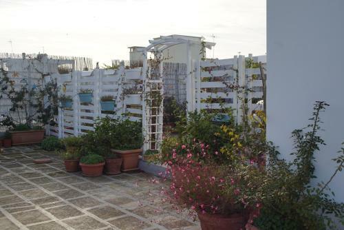 Bed & Breakfast Mandorleolio