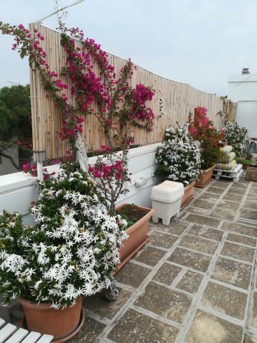 Bed & Breakfast Mandorleolio