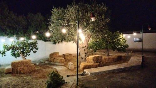 Villa Terra Mia