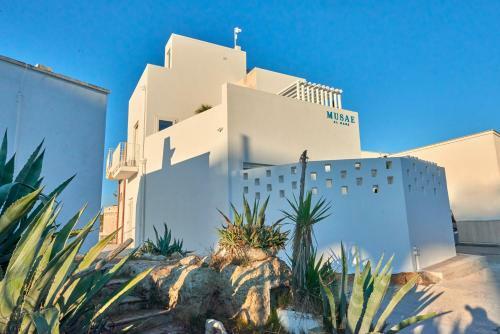 Bed & Breakfast Musae Al Mare