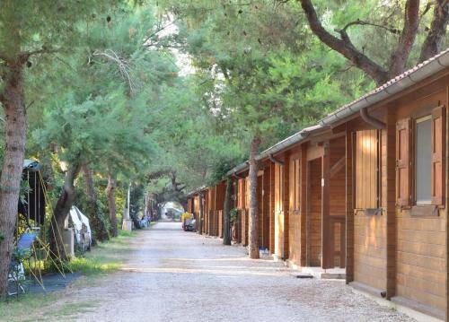 Camping La Pineta