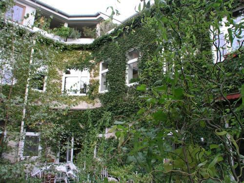 Hotel Wiener Kindl