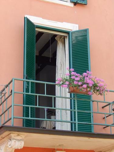 B&B Il Moro Selvatico