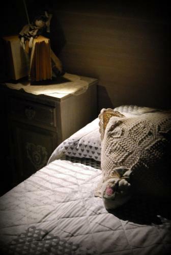 B&B Il Moro Selvatico