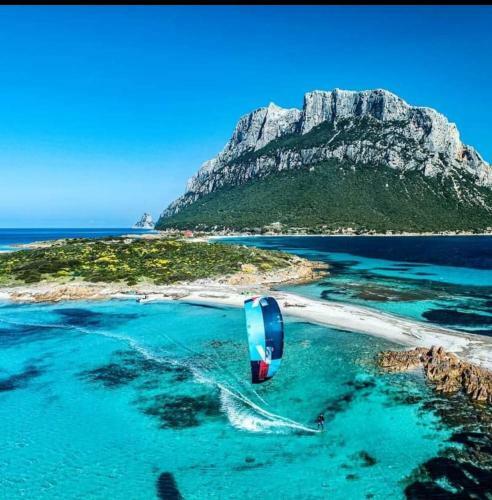 Apartamento Casa Camelia A 700 Metri Dal Mare
