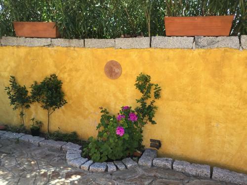 B&B Levante Posada