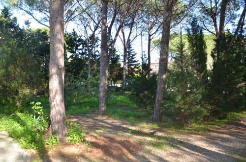 Apartamento Sardegna Mare San Giovanni Posada
