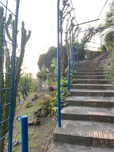 Villa - Tea Fiuzzi