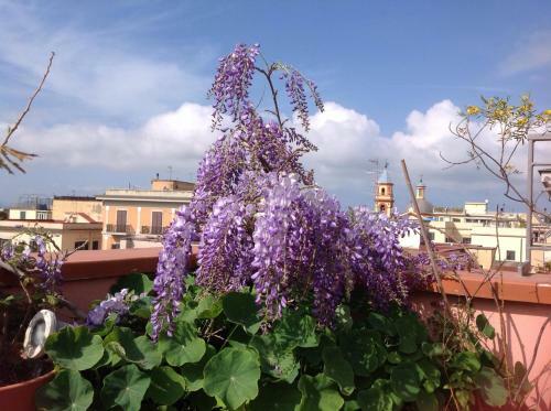 Bed & Breakfast Il Nido Della Quaglia