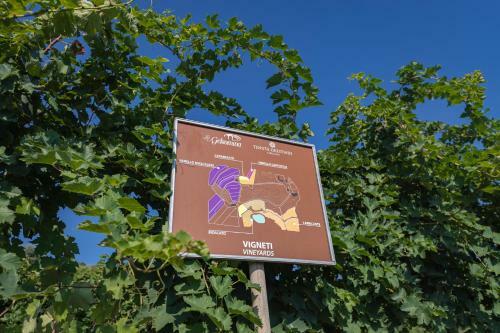 Agroturismo La Gelsomina - Etna