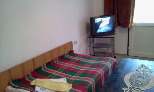 Hostal Sportna 17 Guest Rooms