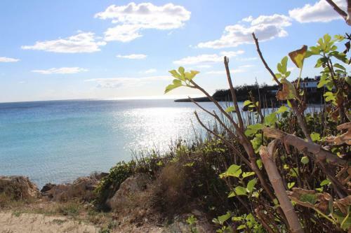 Bed & Breakfast Casa Mita