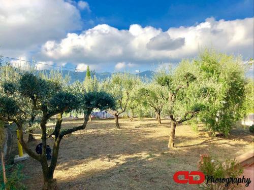 B&B Orsobigio