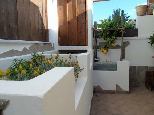 Bed & Breakfast La Cantina Dello Sgatto