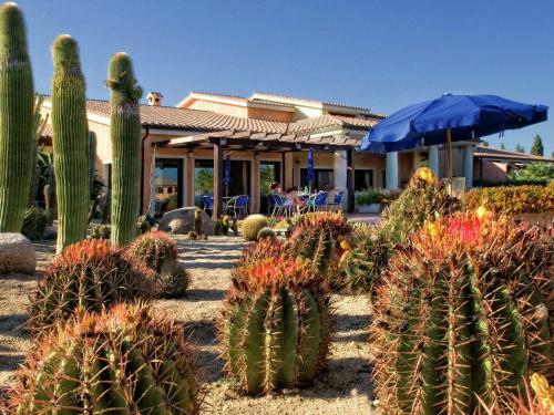 Lovely Apartment In Sardegna With Shared Garden