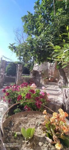 B&B L' Antica Macina