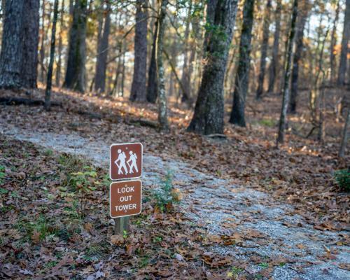 Tentrr State Park Site - Mississippi Clarkco State Park - Trailside E - Single Camp