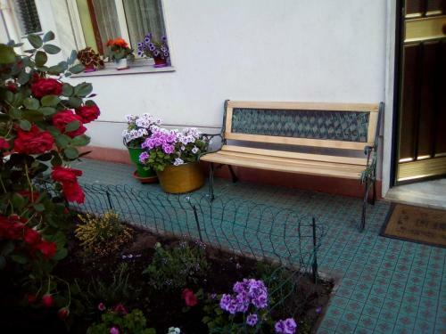 Hostal Homestay