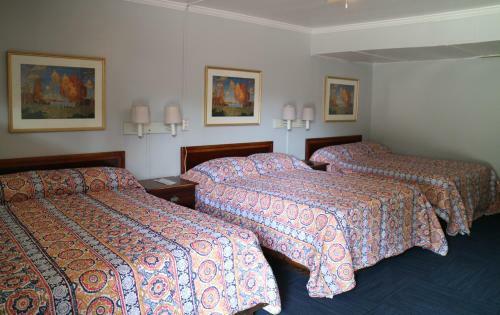 University Motel And Suites